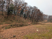 PXL_20251214_034717330