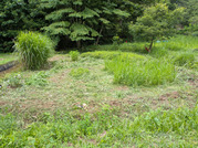 PXL_20260624_032013214