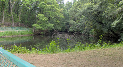 PXL_20260731_041622910