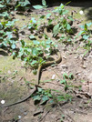PXL_20260806_025724007