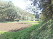 P4150024