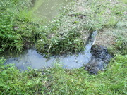 P6020026