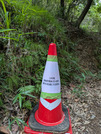 PXL_20260704_072825988