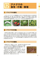 ●野生鳥獣被害防止マニュアル（中型獣類編）農林水産省201803_7