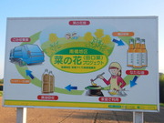 DSCN9686