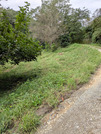 PXL_20261001_235246929