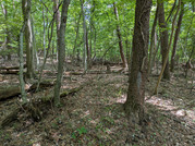PXL_20260516_042415166