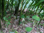 PXL_20260729_085150610