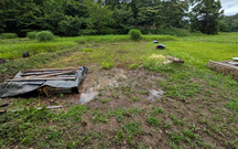 PXL_20260621_082139614