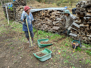 PXL_20251123_015516595