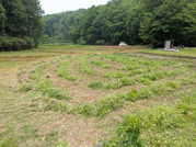 PXL_20260508_021945497