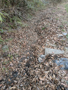 PXL_20260325_034009226