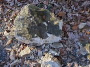 PXL_20260105_234552350