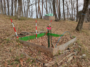 PXL_20260306_024100077