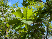 PXL_20260511_044029253