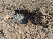 PXL_20251208_024713015