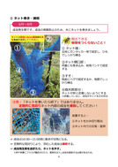 クビアカ（栃木県）_5