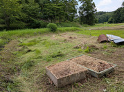 PXL_20260612_022949619