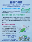 DSCN5704