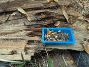 PXL_20251203_024730036