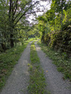 PXL_20260729_080108385