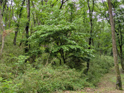 PXL_20260524_020158861