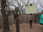 PXL_20260119_035443513