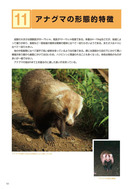 ●野生鳥獣被害防止マニュアル（中型獣類編）農林水産省201803_6