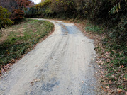 PXL_20251202_021425951