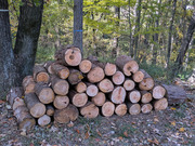 PXL_20251115_022809125