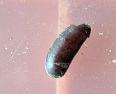 PXL_20260529_062310230