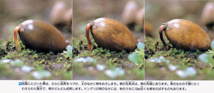 img-211108042330-0002