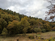 PXL_20251117_235550503