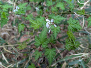 PXL_20260331_081148232