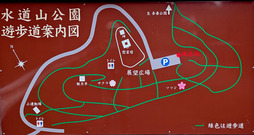 PXL_20260704_062803034