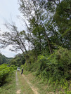 PXL_20260731_013710355