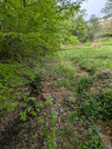PXL_20260417_043736432