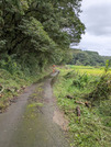 PXL_20260927_051016475