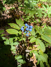 PXL_20260805_040910885