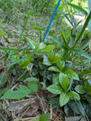PXL_20260518_015351663