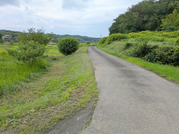 PXL_20260707_015801631