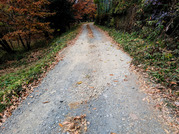 PXL_20251202_021507599