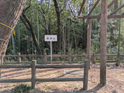 PXL_20260323_061216236