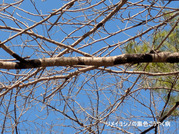 PXL_20260118_020917598