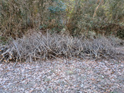 PXL_20260123_020603170