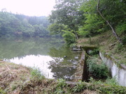 DSC01155