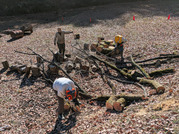 PXL_20251216_025726358