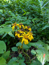 PXL_20260805_052836836