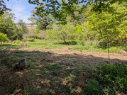 PXL_20260420_043534945