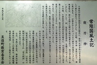 P7010022